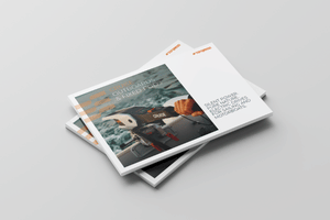 Torqeedo Cruise brochure